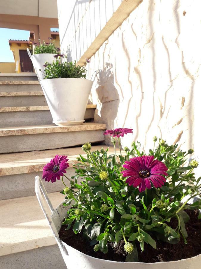 Il Vaso Di Creta Bed & Breakfast Ragusa Dış mekan fotoğraf